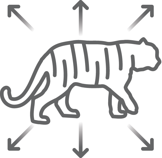 Tiger Population Icon